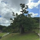 12월 3일(수) 영동 천태산 산행예약 745m.^^ 이미지