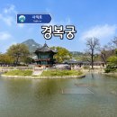 서울 경복궁 입장료 및 주차장 추천 코스까지 완벽 가이드!