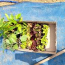 아이와농장 이미지