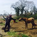 웃뜨르빛센터 이미지