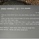것대산 마애비군 Daum카페