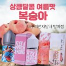 잠실 복숭아 액상 추천! 달달한 과즙감 제대로 느껴지는 액상 후기 🍑