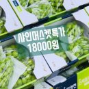 카페옴마푸룻