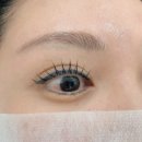 원도안로-19 이미지