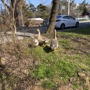 의료원로 이미지