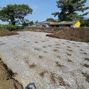 상효동-5 이미지