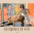 앤에이 | 송도가볼만한곳 카피바라 귀여운 테이블에이 앤 우쥬 방문 후기