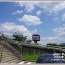 청도소싸움경기장 이미지