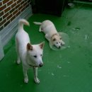 귀선농장 이미지