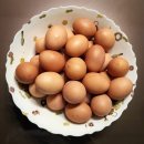 인천 계란 도매 싸고 신선한 계란 한판 매일 3천원에 파는 곳 feat. 전기밥솥 구운계란 만드는 법