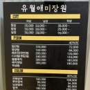 광교 직장인 남자머리 잘하는 곳 유월애미장원 가일컷 모류교정 후기
