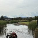 순천만 천문대 화장실 이미지