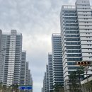 서울 강동구 아파트라슈 임장스터디 내돈내산 후기! 신성둔촌미소지움, 올림픽파크포레온부터 상일동까지