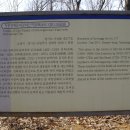 김*식 - 안양시 동안구 학의로 120 | 김*식