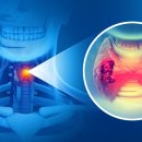 땡큐서울의원 이미지