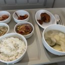 평택한방병원 | 가온한방병원 진료 입원 후기 / 직진 좌회전 자동차사 12~14급 입원후기