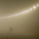 황새둥지 이미지