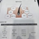 김포 두피 탈모 프로그램 추천 브이에스 의원