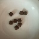 성보덴탈 | 냥치타임 덴탈 간식 저요저요 덴탈 3종 후기