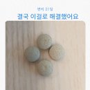알로에환 효능, 3년 사용한 진짜 후기! 변비 해결의 첫걸음