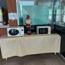 경북 영천캠핑장 드림랜드오토캠핑장 1박2일 솔직 후기