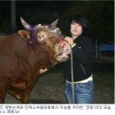 속리축산 이미지