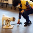 분도유치원 이미지