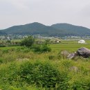 신도3리 이미지