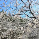 덕천서원화장실 이미지