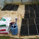 신성농약사 이미지