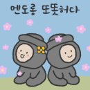 더아이랑펜션 이미지