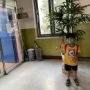 호롱불작은도서관 이미지