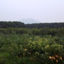 설봉농장 이미지