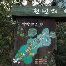 조선갈비찜 이미지