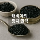 카스피무역
