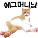 더블루공인중개사사무소 이미지