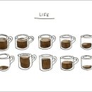 호인세상 이미지