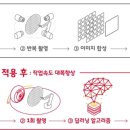 슈퍼노바개발