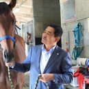 골든목장 이미지