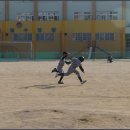 신광초등학교 이미지