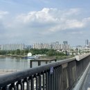 2025 올리브영 페스타 오후권 5시간 풀 후기