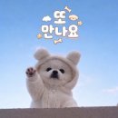 [검단 애견미용]몽이스튜디오 꼼꼼한 미용 후기🐻‍❄️✂️