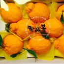 경화청과