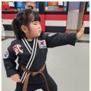 다부진 합기도 이미지