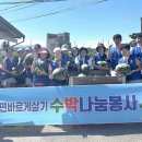 용은경로당 Daum카페