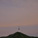 슈프림복싱 | 26년 6월의 구감 : 6월의 주황 코스모스