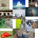 한양대학교 의학전문대학원 이미지