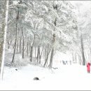 삼천리목장 이미지