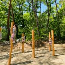 유아숲체험원(1) 이미지