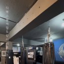 디펜스 블랙펄 이미지